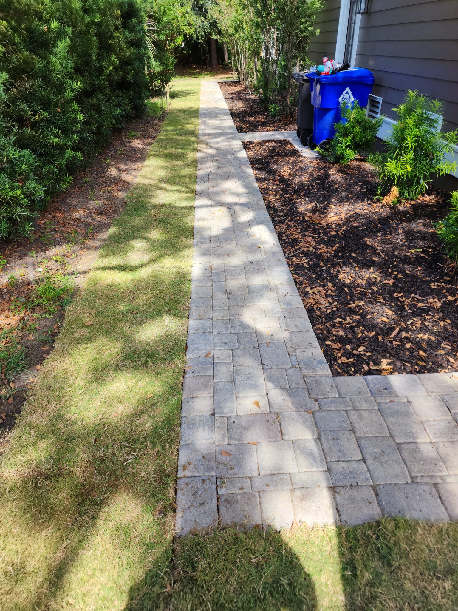 Hamlin Plantation Pathway